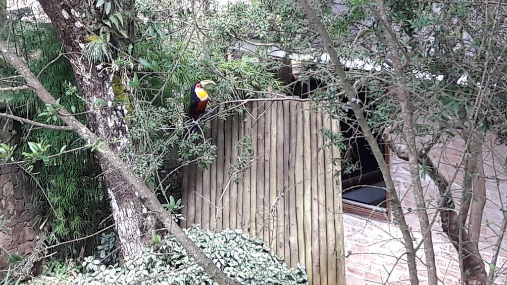 Zoológico Municipal de Guarulhos - ZooChat